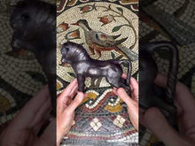 Cargar y reproducir el video en el visor de la galería, Toro de Azaila