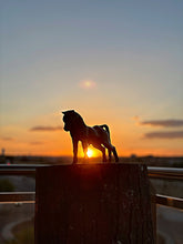Cargar imagen en el visor de la galería, Toro de Azaila