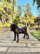 Cargar imagen en el visor de la galería, Toro de Azaila